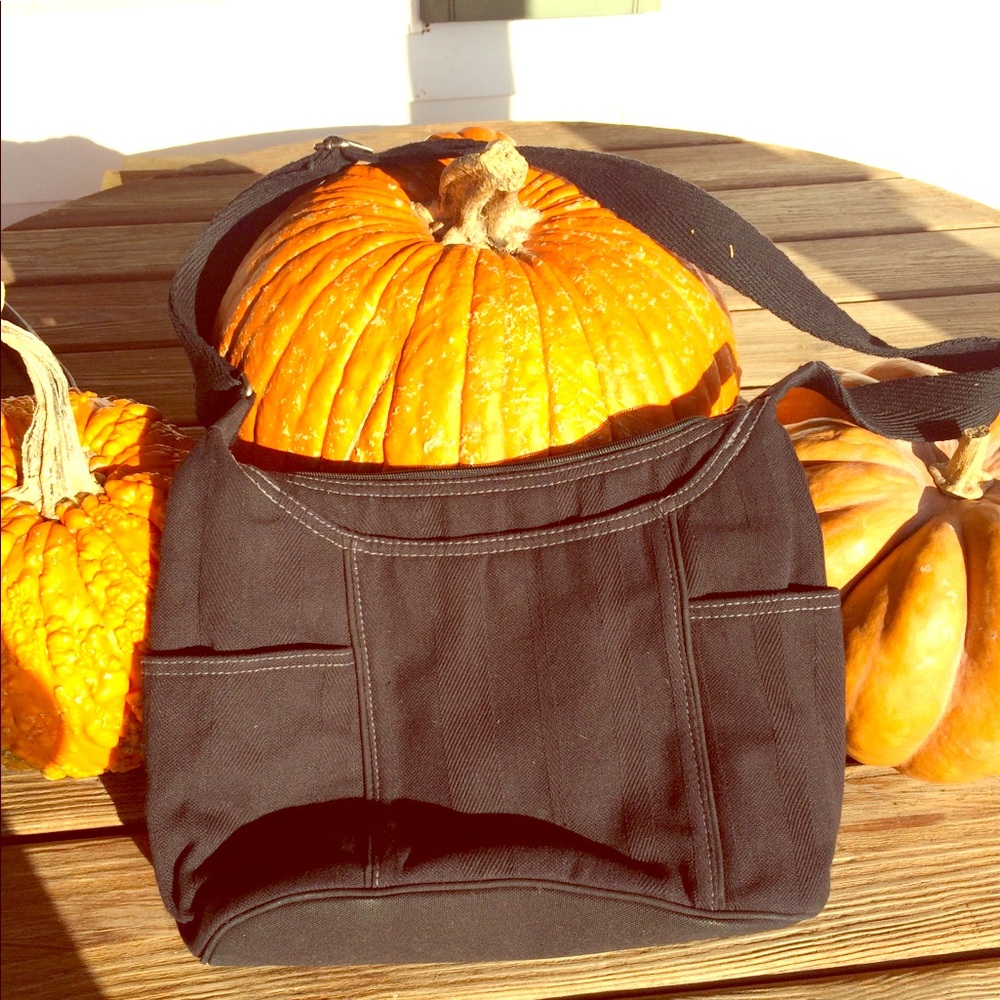 Casual Carryall 31 purse